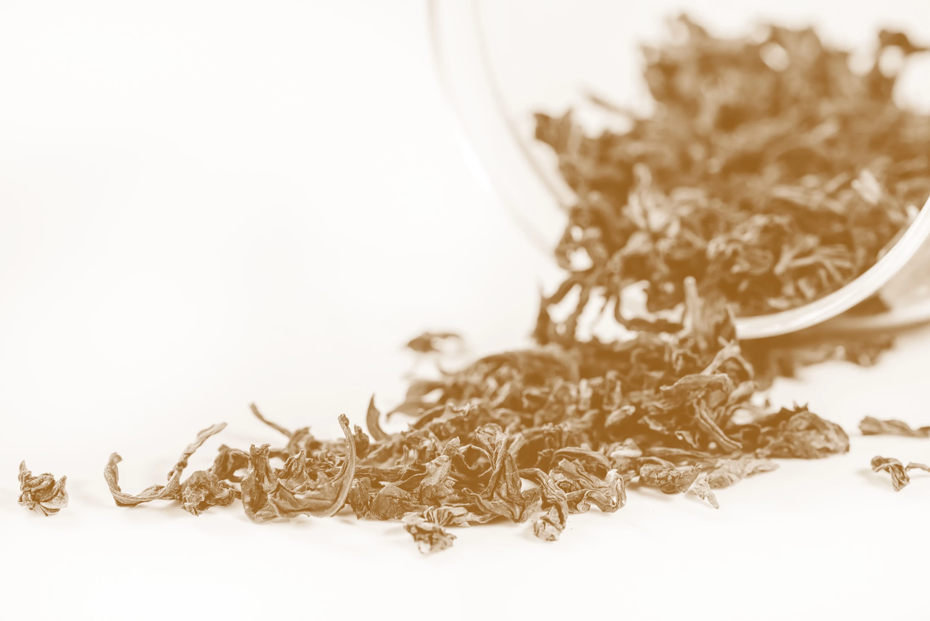 Tea