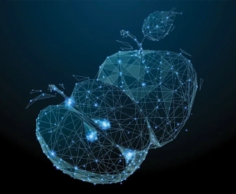 blockchain-in-agriculture-category.webp