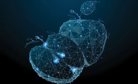 Blockchain In Agriculture | Digitalising The Food System