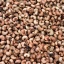 Cashew_Nuts_Hidden_Cost_of_Production_V2_Thumb.webp