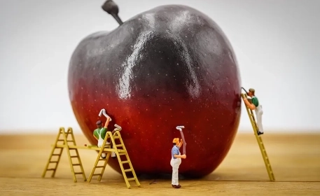 Food Fraud | When Does Food Become Criminal?