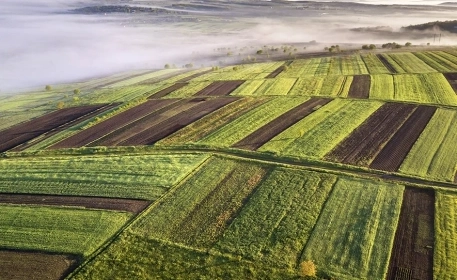 Alexa, ¿cómo debemos cultivar?