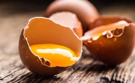 Amino Acids | The Building Blocks of Protein
