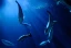 category-image-aquaculture-op.webp