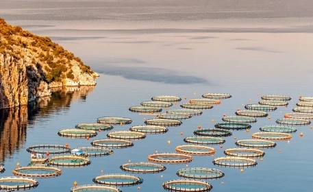 Farmed Fish | The ASC Certification Label | Buying Sustainable Aquaculture