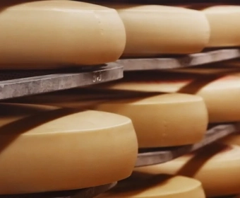 category-image-cheese.webp