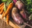 category-image-chopping-veggies-750x650.webp