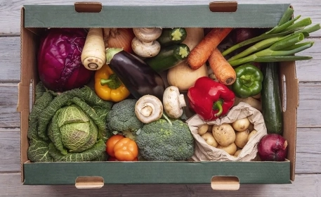 COVID-19: An Opportunity To Change The Global Food System? | Opinion