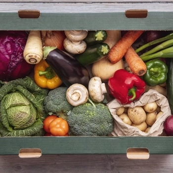 COVID-19: ¿Una oportunidad para cambiar el sistema global alimentario? | Opinión