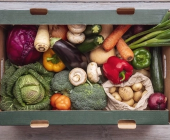 COVID-19: ¿Una oportunidad para cambiar el sistema global alimentario? | Opinión