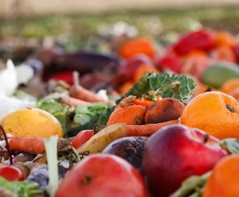 category-image-covidfoodwaste.webp