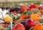 category-image-covidfoodwaste.webp