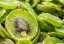 category-image-dehydratedfoods.webp