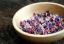 category-image-edible_flowers_1.webp