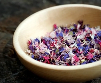 category-image-edible_flowers_1.webp