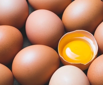 category-image-eggyolks.webp
