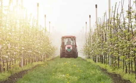 Impactos ambientales: Biopesticidas