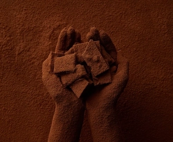 Category-image-FairtradeCocoa.webp