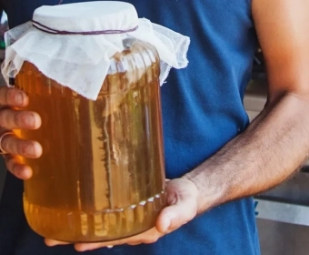 category-image-fermentation.webp