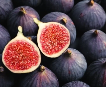 Category-Image-FigWasps.webp