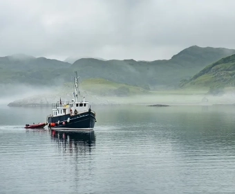 category-image-fish-traceability.webp