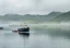 category-image-fish-traceability.webp