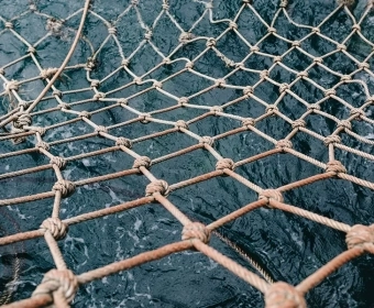 category-image-fisheries.webp