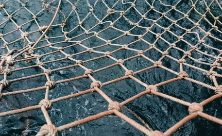 Can Fisheries Ever Be Sustainable? | Ask The Expert
