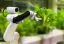 category-image-food_in_science_fiction.webp