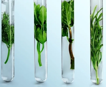 4 Futuristic Food Innovations That Already Exist