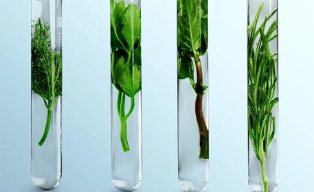 4 Futuristic Food Innovations That Already Exist