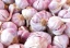 category-image-garlic.webp