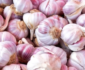 category-image-garlic.webp