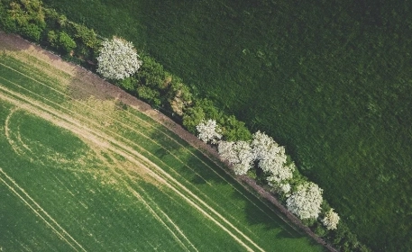 El pacto verde europeo: cinco maneras en las que la política podría impactar en nuestro sistema alimentario