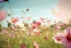 category-image-grow-edible-flowers.webp