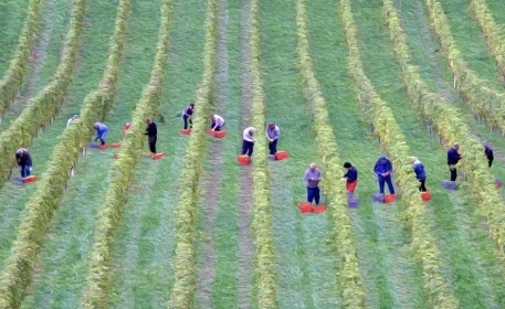 Human Rights in the Food System | Ask the Expert