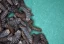 category-image-insect_food_waste.webp