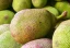 category-image-jackfruitgrown.webp