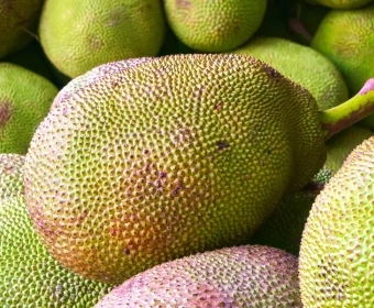 category-image-jackfruitgrown.webp