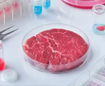 category-image-labgrownmeat.webp