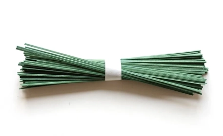 Microalgae | 4 Interesting Ways To Eat Algae