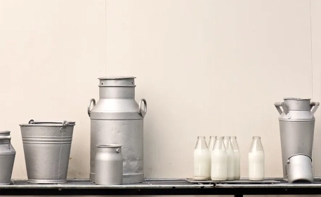 4 Lebensmittel, die überraschenderweise mehr Calcium enthalten als Milch