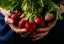 category-image-organicfoodchemicalfree.webp