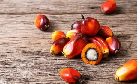 Aceite de palma | ¿Cómo se hace?