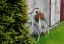 category-image-pavel.webp