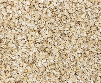 category-image-plantbasedgut.webp