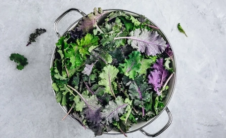 Plant-Based Iron Sources