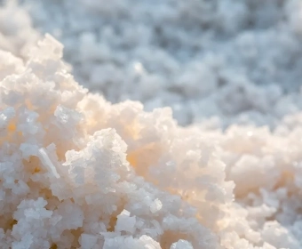 category-image-science-behind_salt.webp