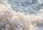 category-image-science-behind_salt.webp