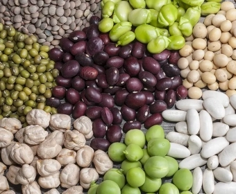 category-image-sources-of-protein.webp
